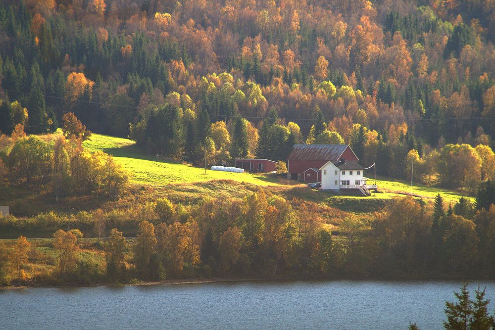 Photograph by Radu Marian