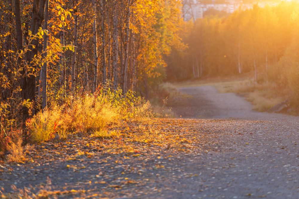 Золотая осень