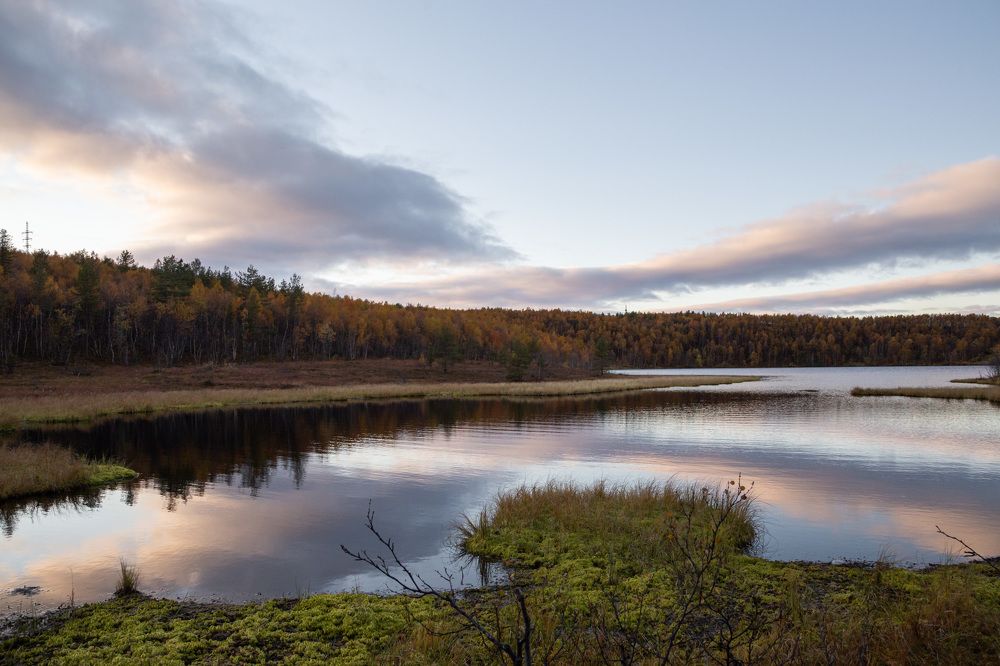 осень в заполярье