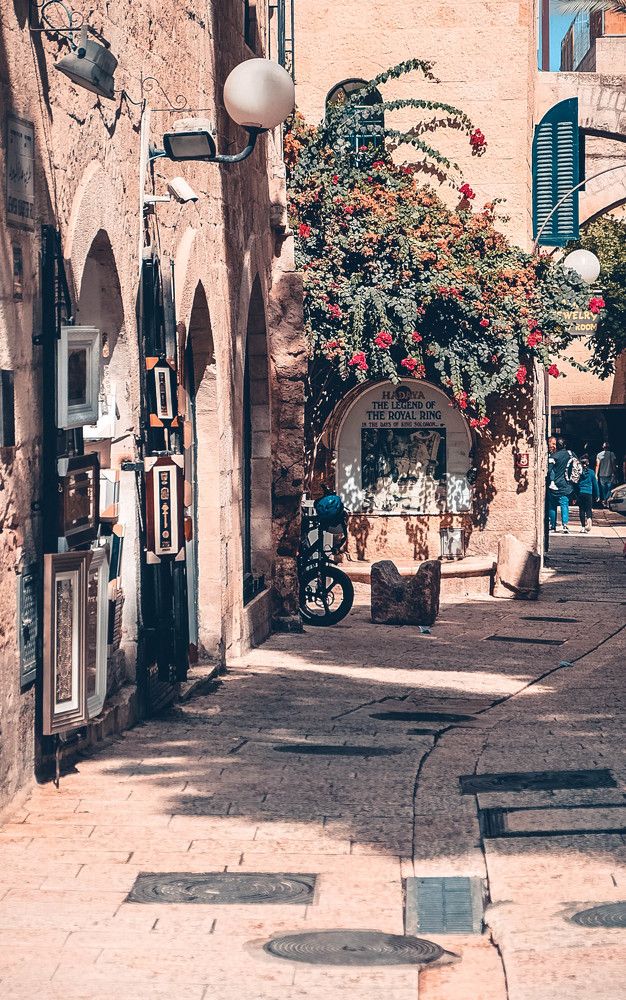 Фотография автора Ольга Забрянская