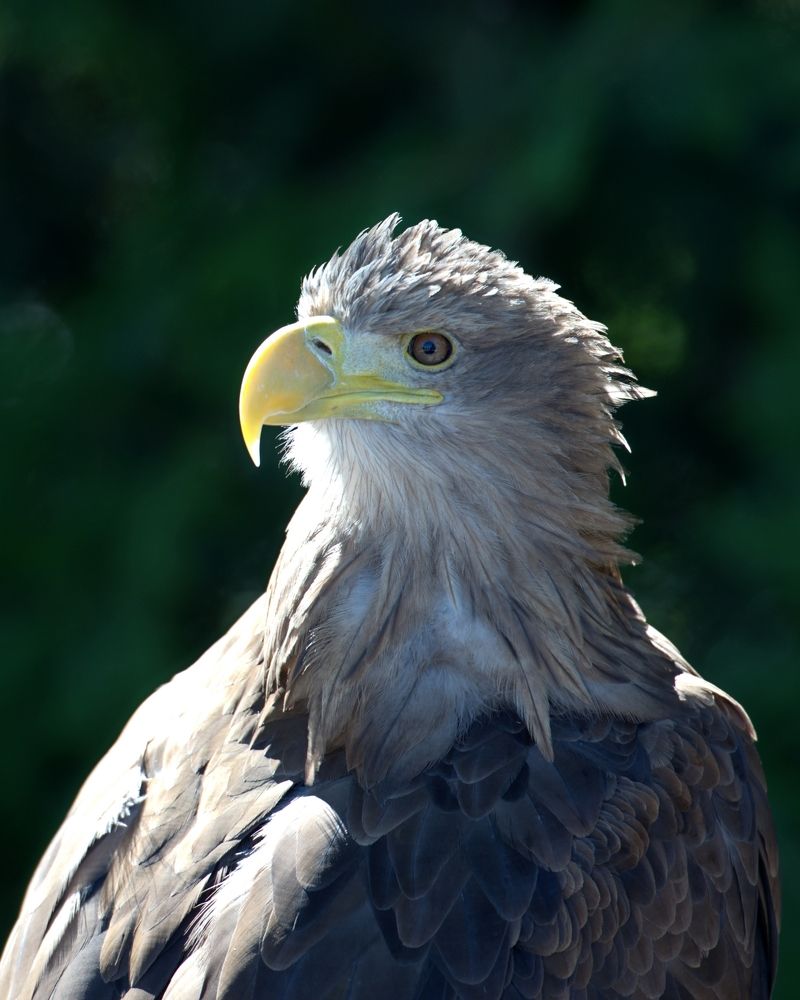 Photograph by Андрей Андрюшин