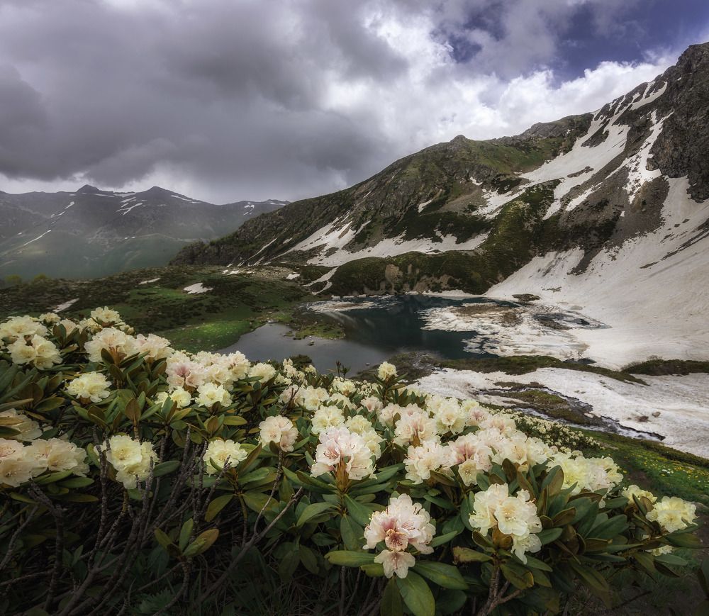 Photograph by Наргиза Кахарова