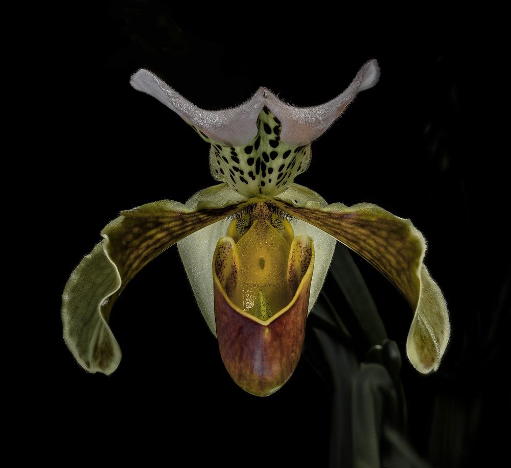 Фотография автора Валентин Черновол