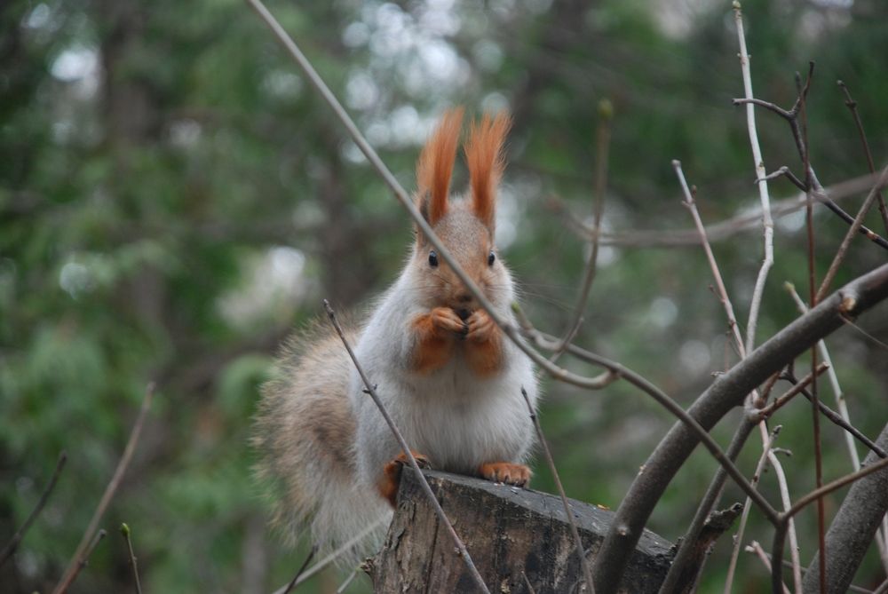 Photograph by Андрей Андрюшин