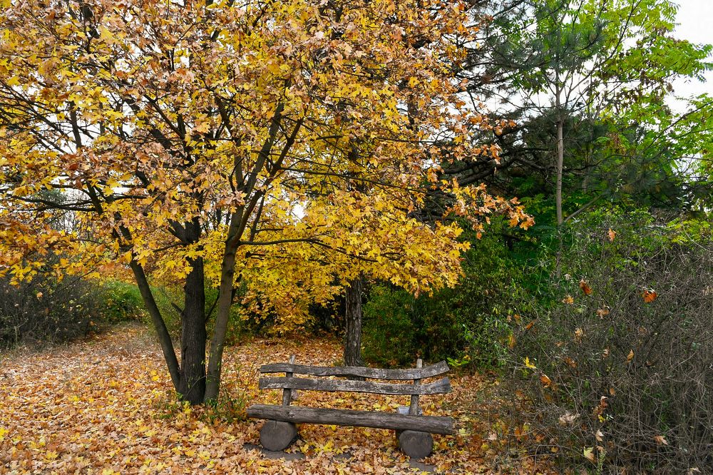 Photograph by Владислав Семенов