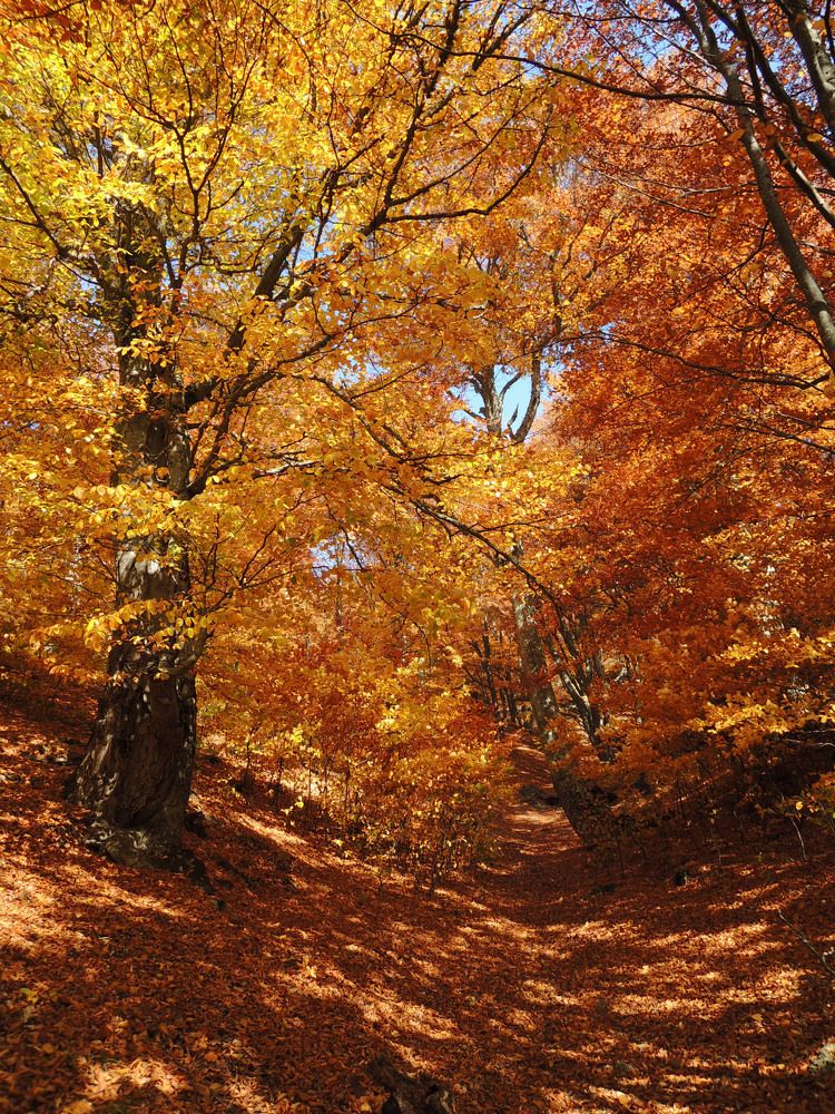 Photograph by Екатерина Крючкова