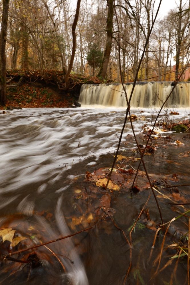 Photograph by Мария Kокоревич