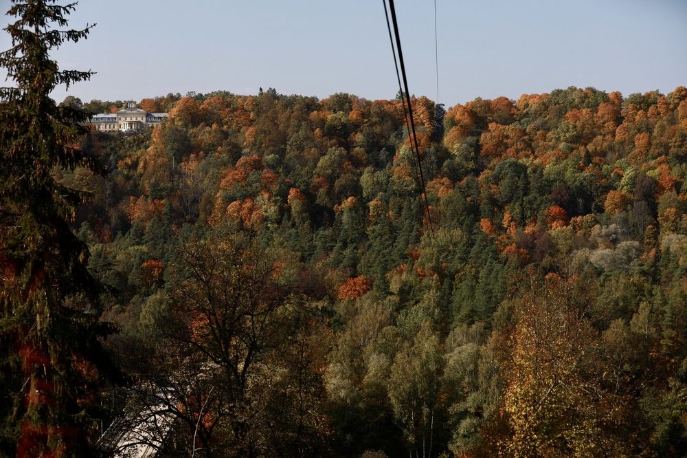 Photograph by Мария Kокоревич