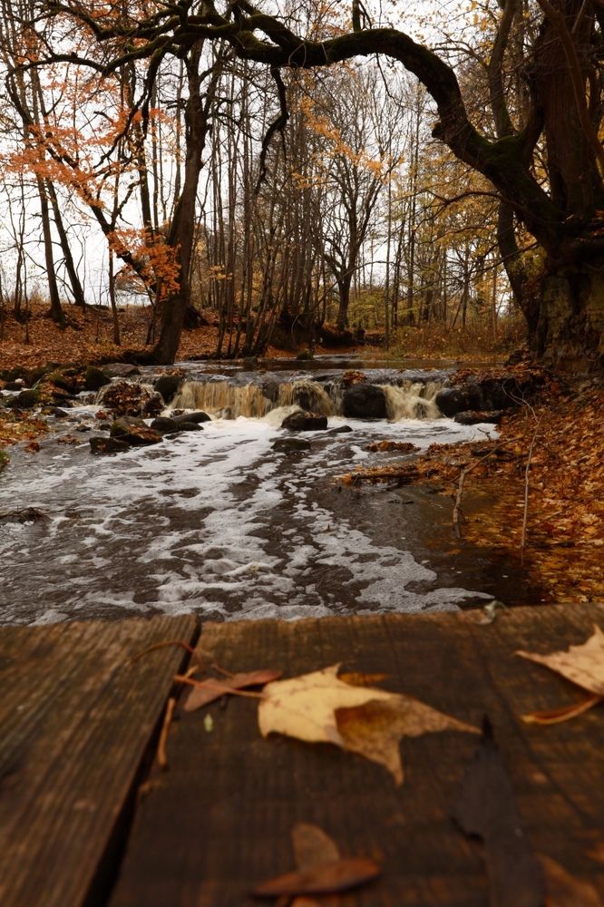 Photograph by Мария Kокоревич