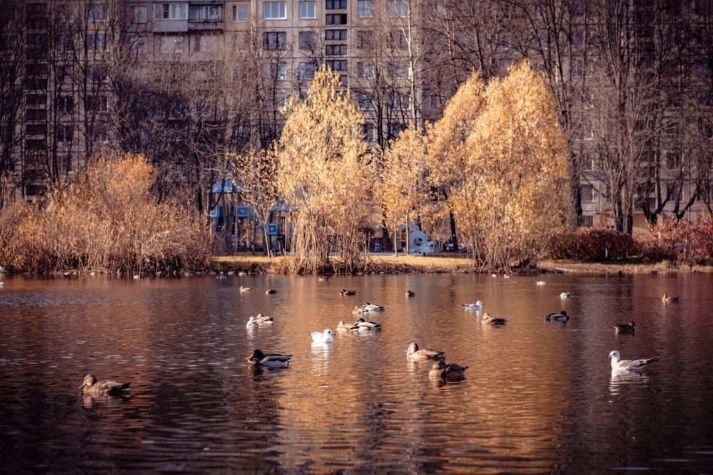 Photograph by Алёна Бабенко