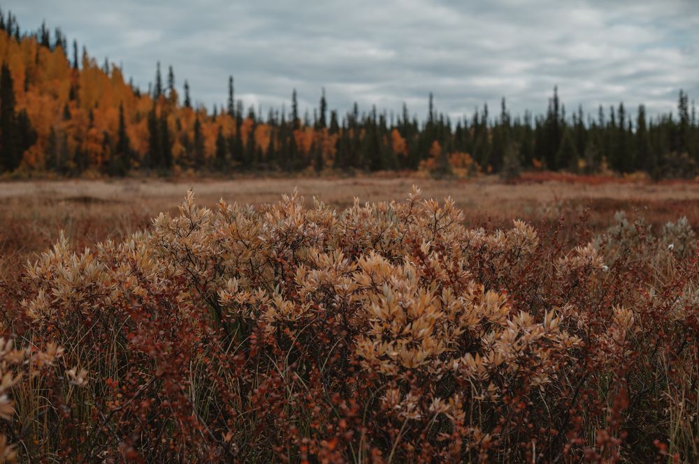 Photograph by Наталья Могилевская