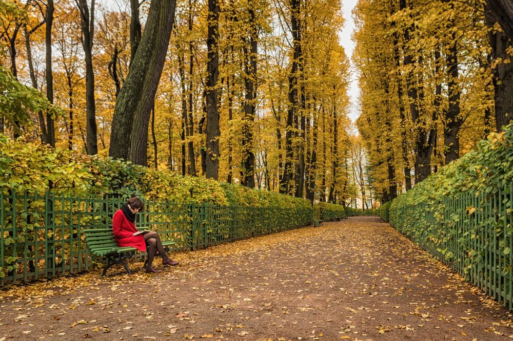 Photograph by Александр Авдушев