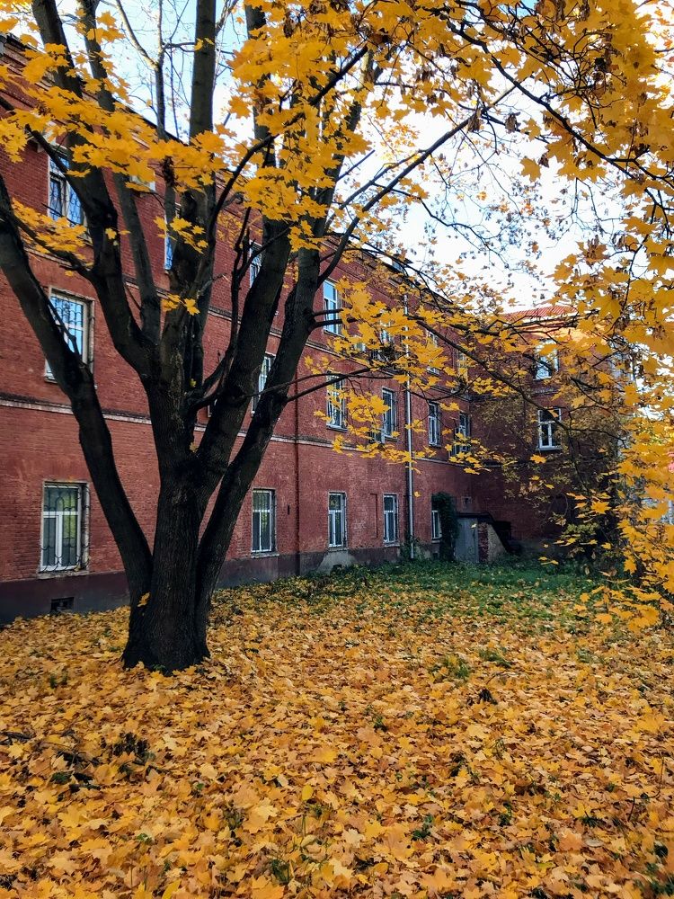 Фотография автора Яна