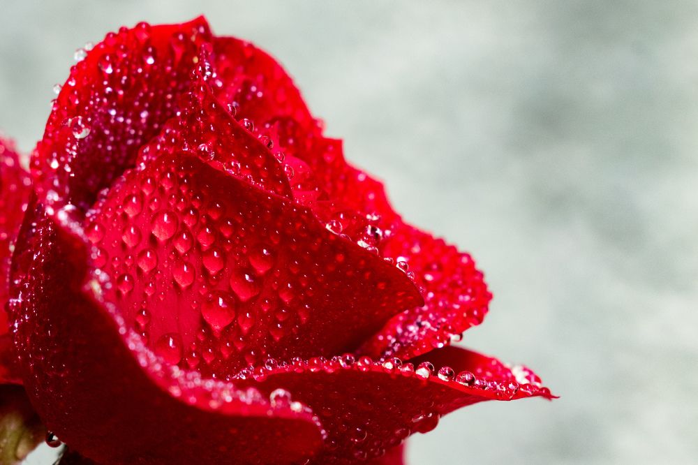 Photograph by Gianfranco