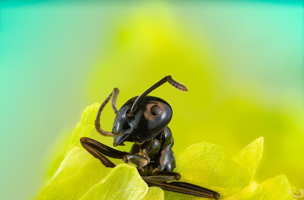 Photograph by Damian Kozik