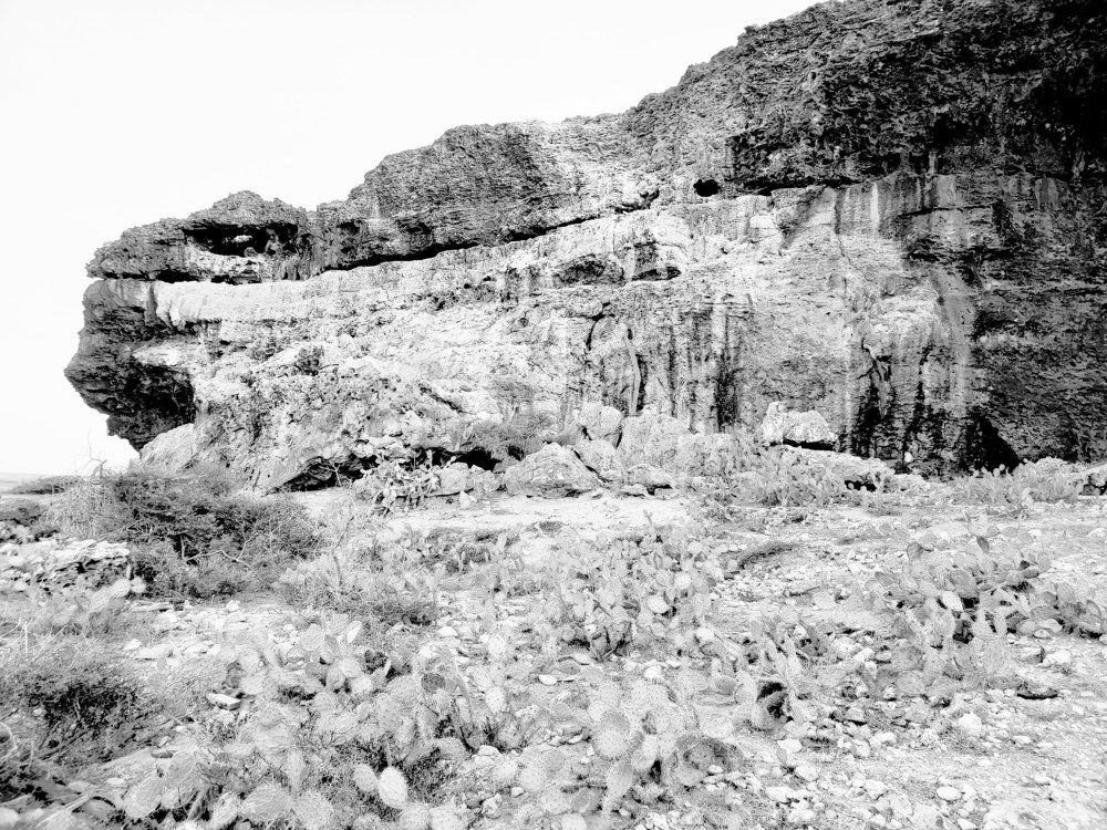 Photograph by Janine tromp