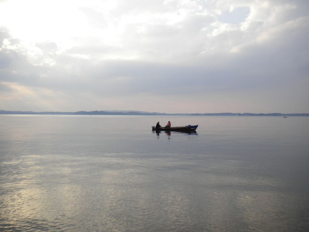 Photo #6656413