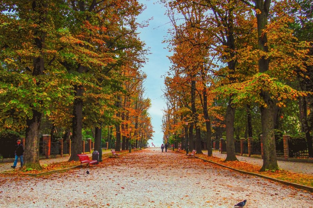 Photograph by Gotcha Biniashvili