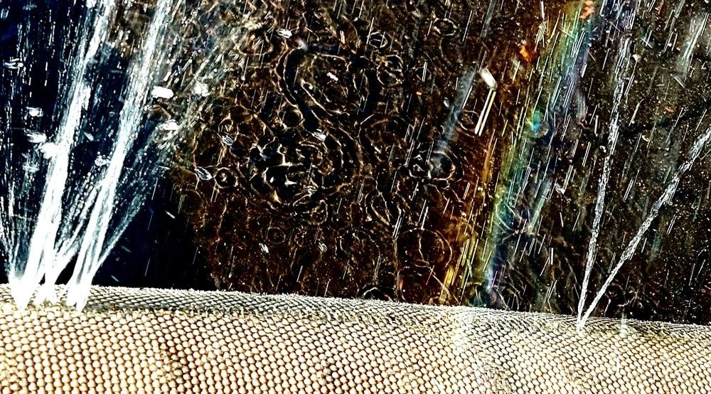 Фотография автора Мария Коледа