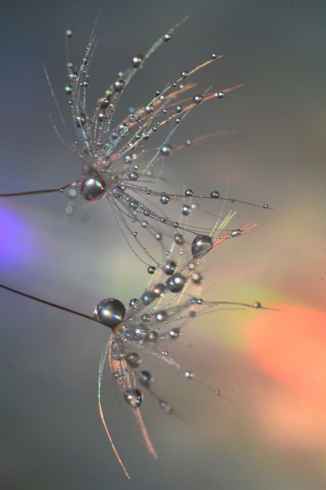 Photograph by Ника