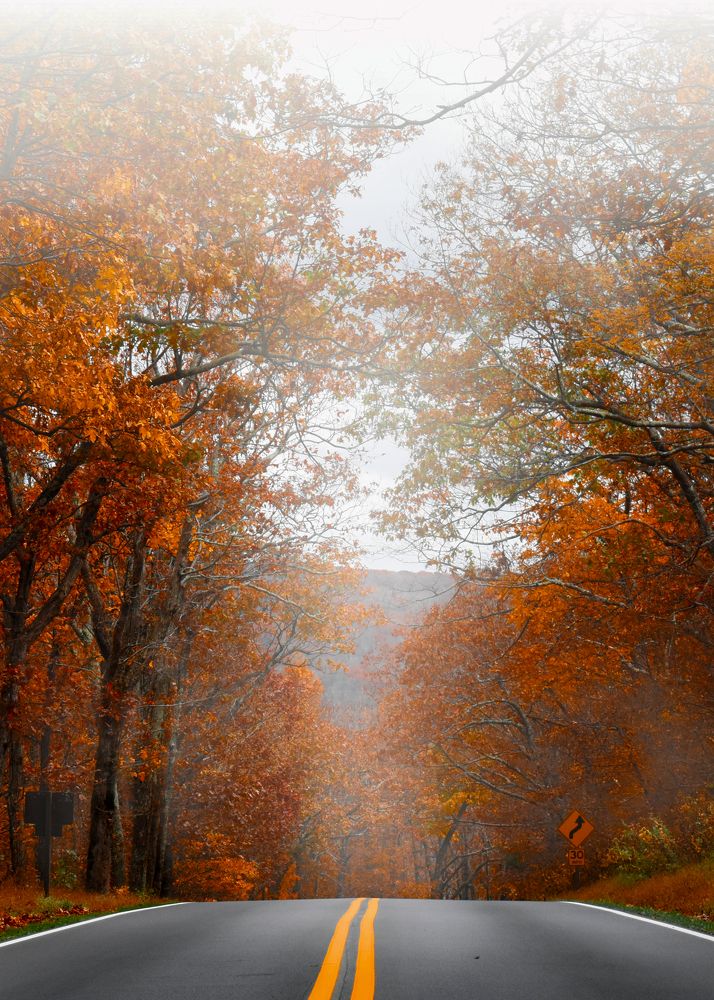 Photograph by Gargee Chowdhury