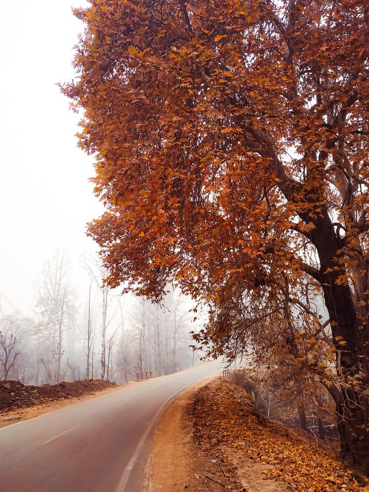 Photograph by Faheem Iqbal
