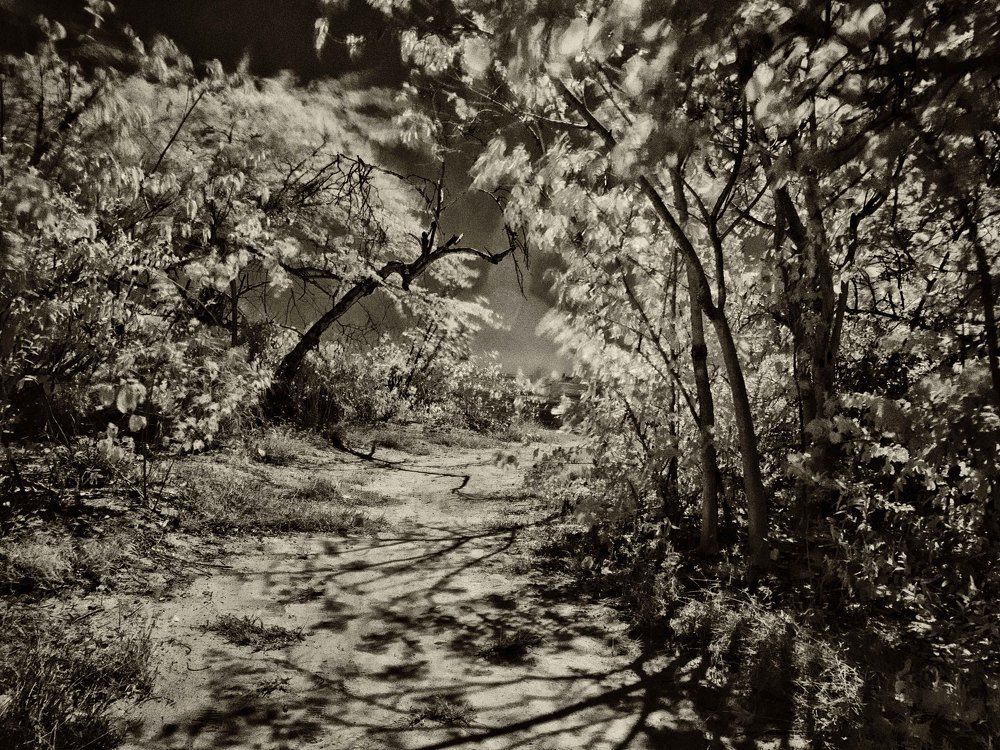 Photograph by Jose Arturo ballesta 9