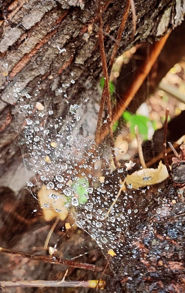 Photograph by Татьяна Гулакова