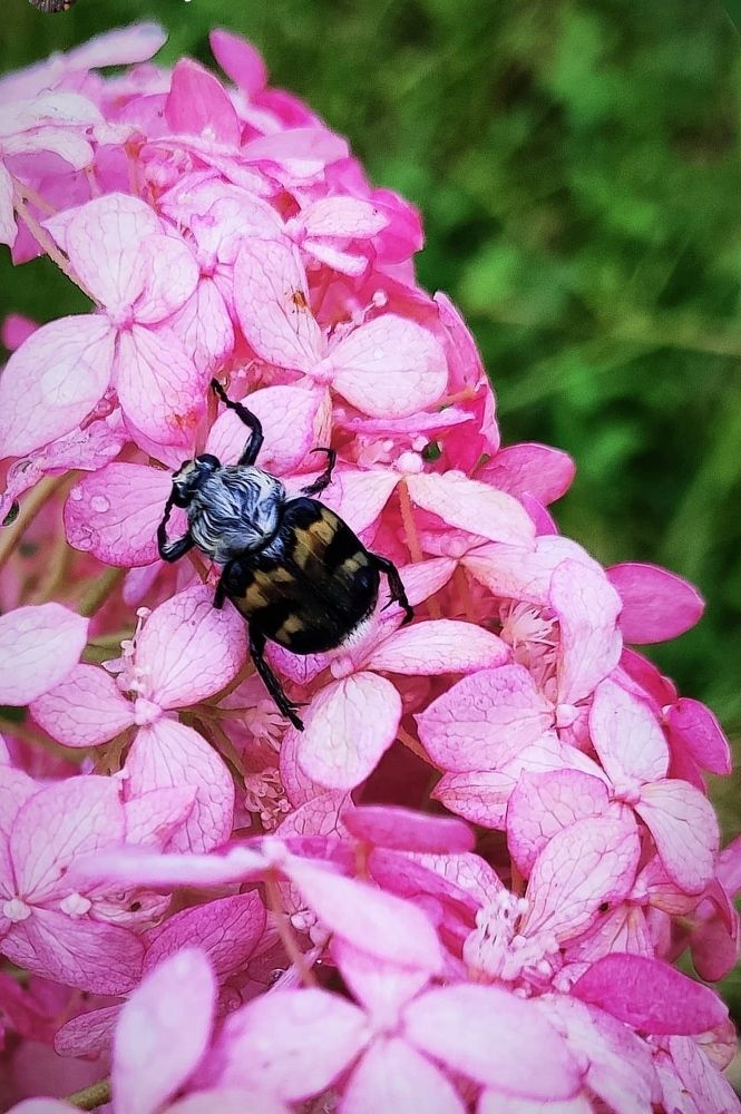 Photograph by Татьяна Гулакова
