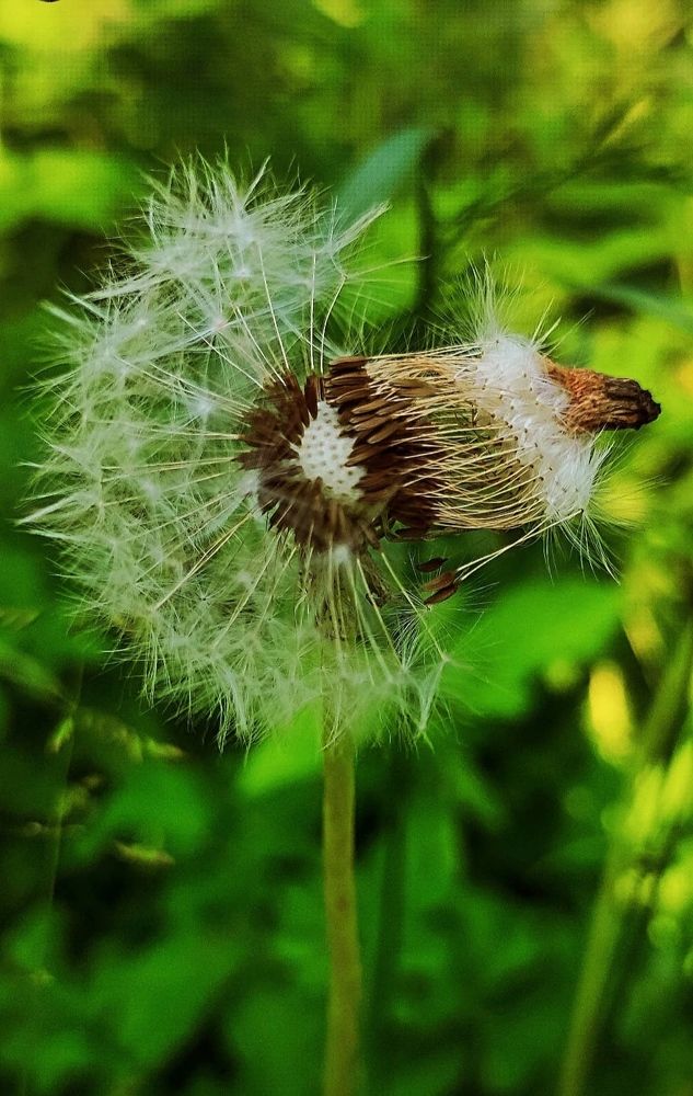 Photograph by Татьяна Гулакова