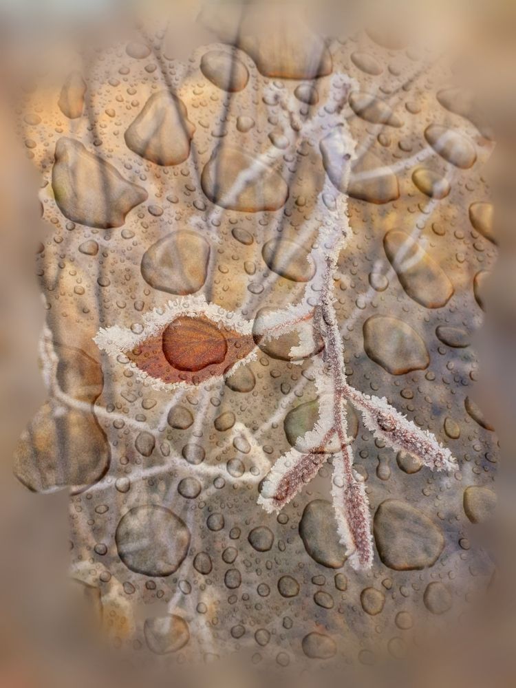 Photograph by Ирина Пичугина