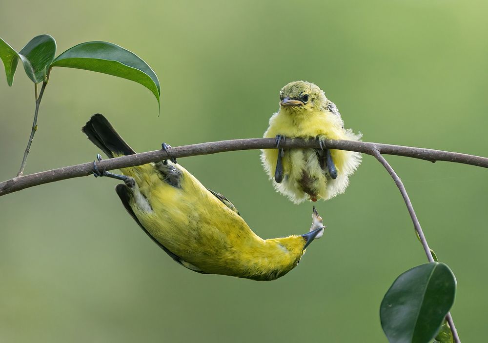 Photograph by Văn Bình Phan