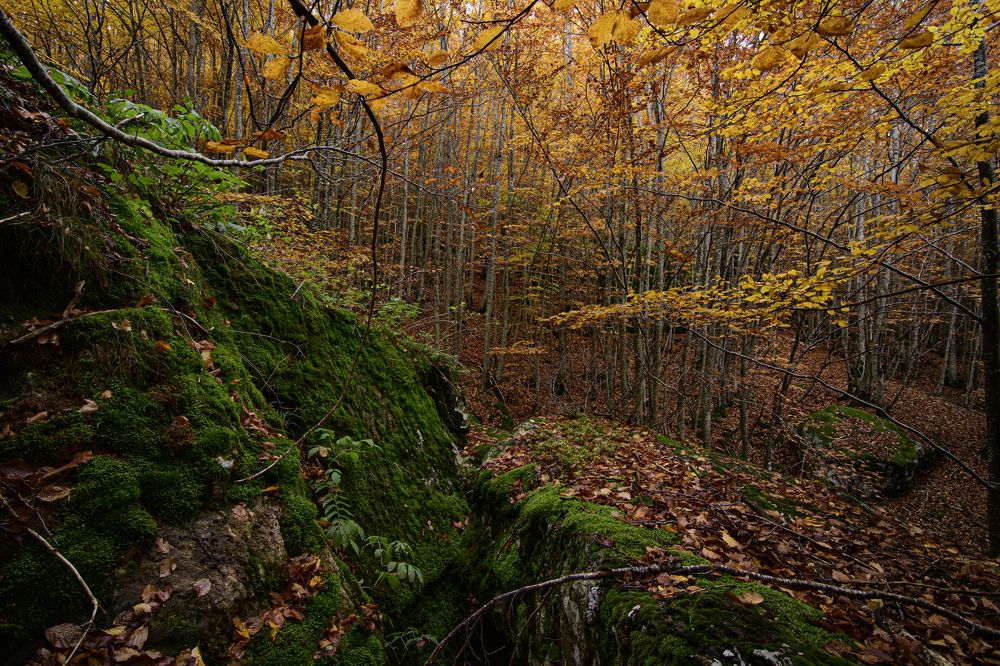 Photograph by Dino Sirica