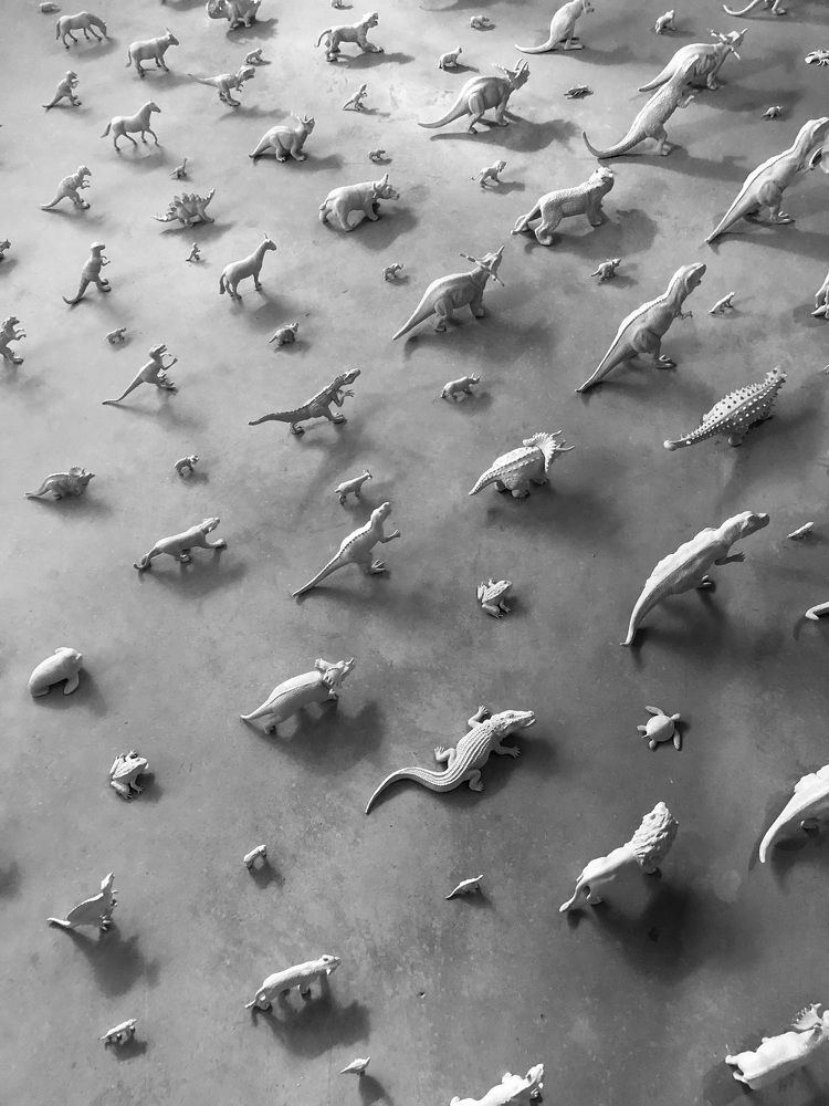 Photograph by Karen Vardanian