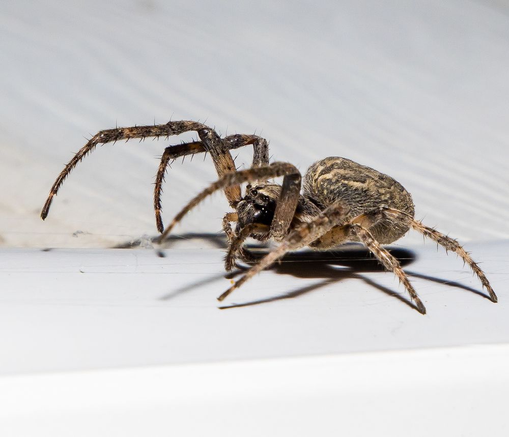 Photograph by Максим Фролов