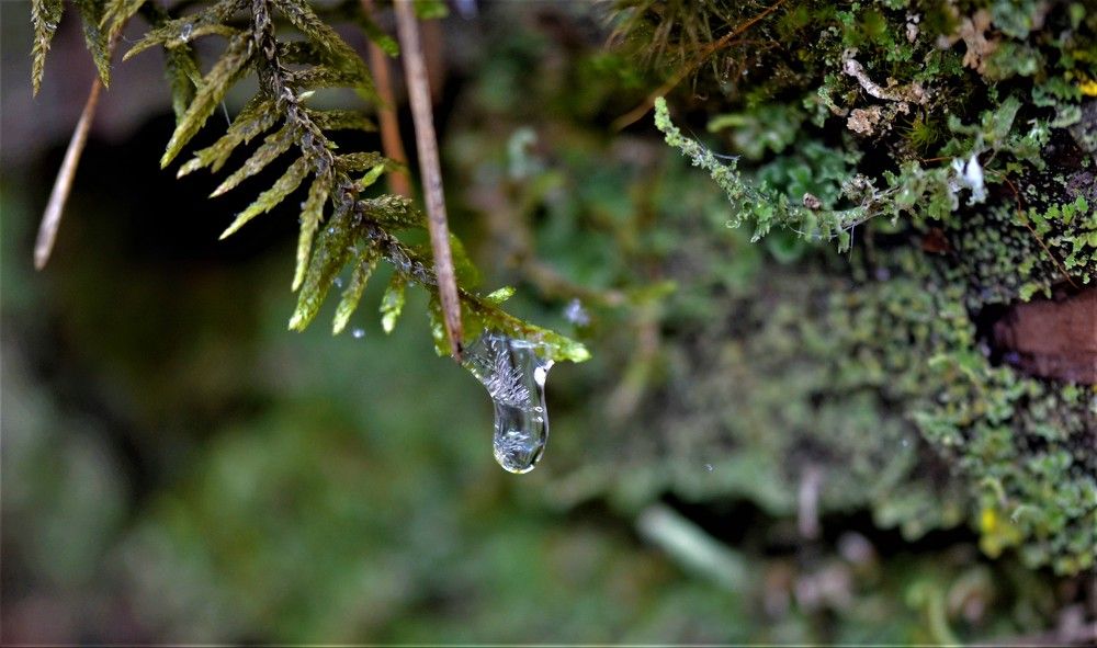 Photograph by Сергей Зубов