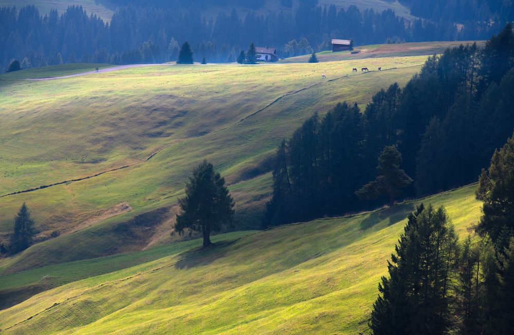 Photograph by George