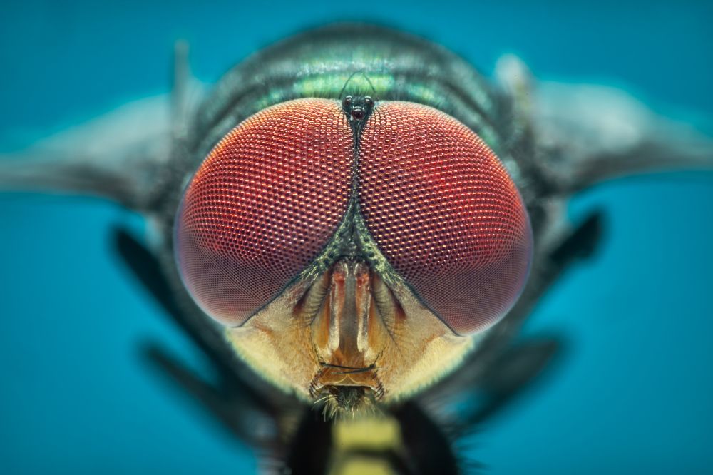 Photograph by Phan Thu