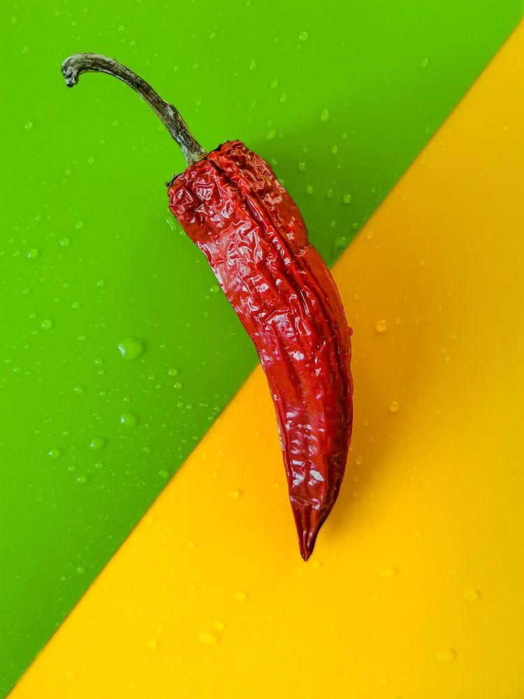 Photograph by Анастасия Ходжер