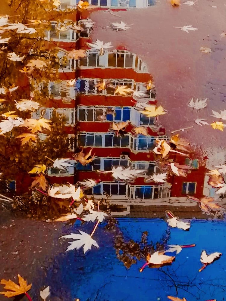 Пёстрый мир