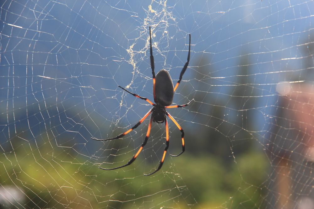 Photograph by Popa Alin