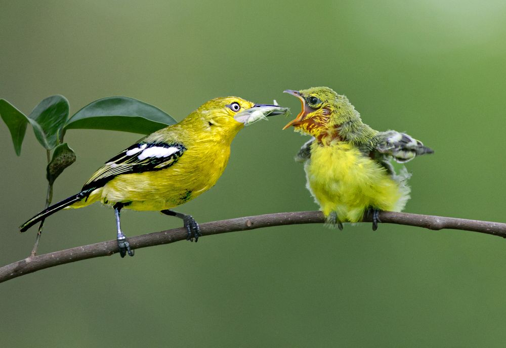 Photograph by Văn Bình Phan
