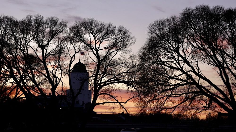 Photograph by Ольга Одаренко