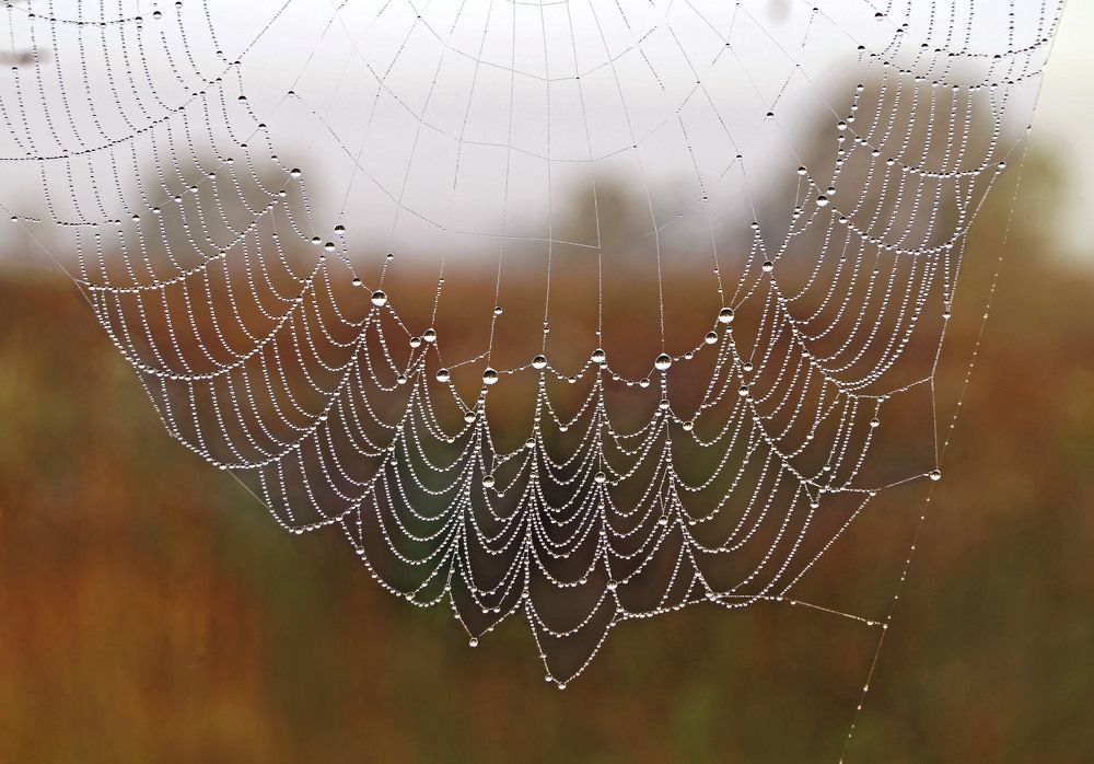 Photograph by Мишустина Татьяна