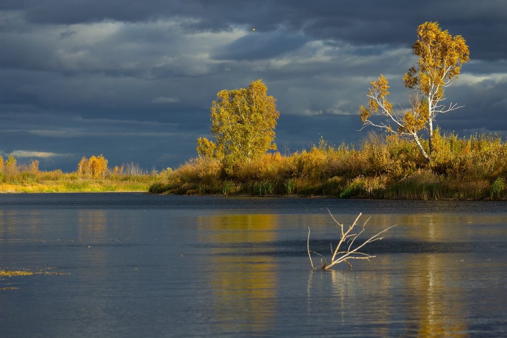 Photograph by Александр Канцур