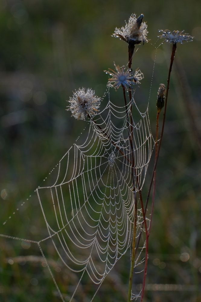 Photograph by 