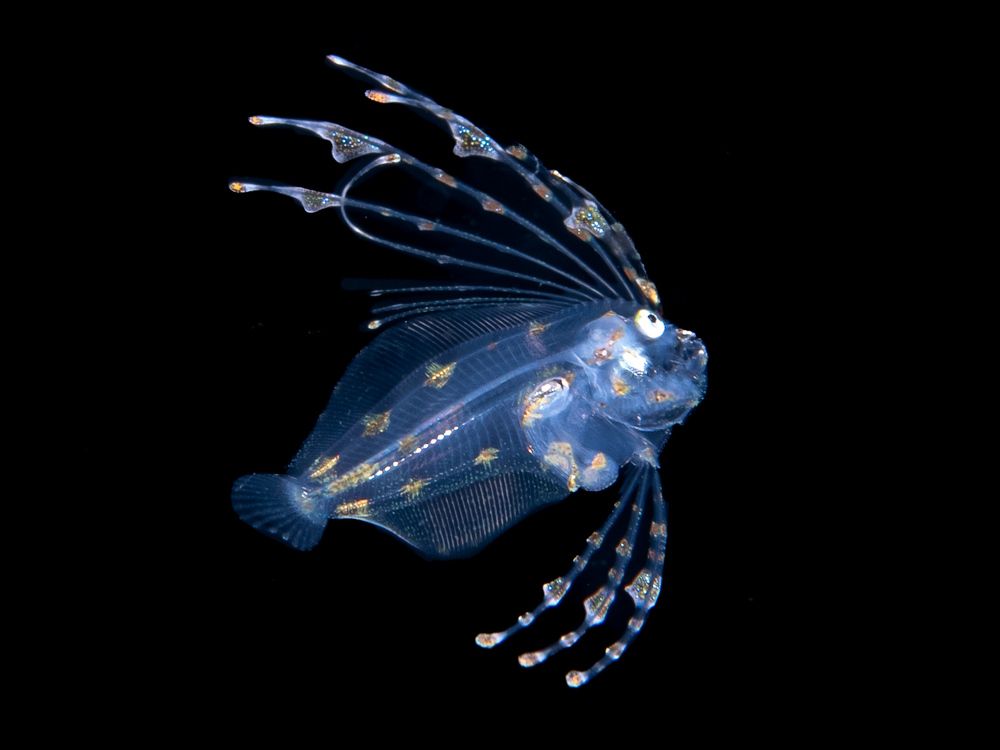 Photograph by Kateryna Terets