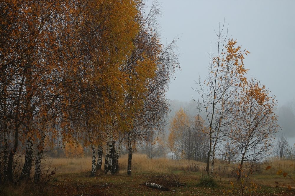 Photograph by Светлана Богомолова