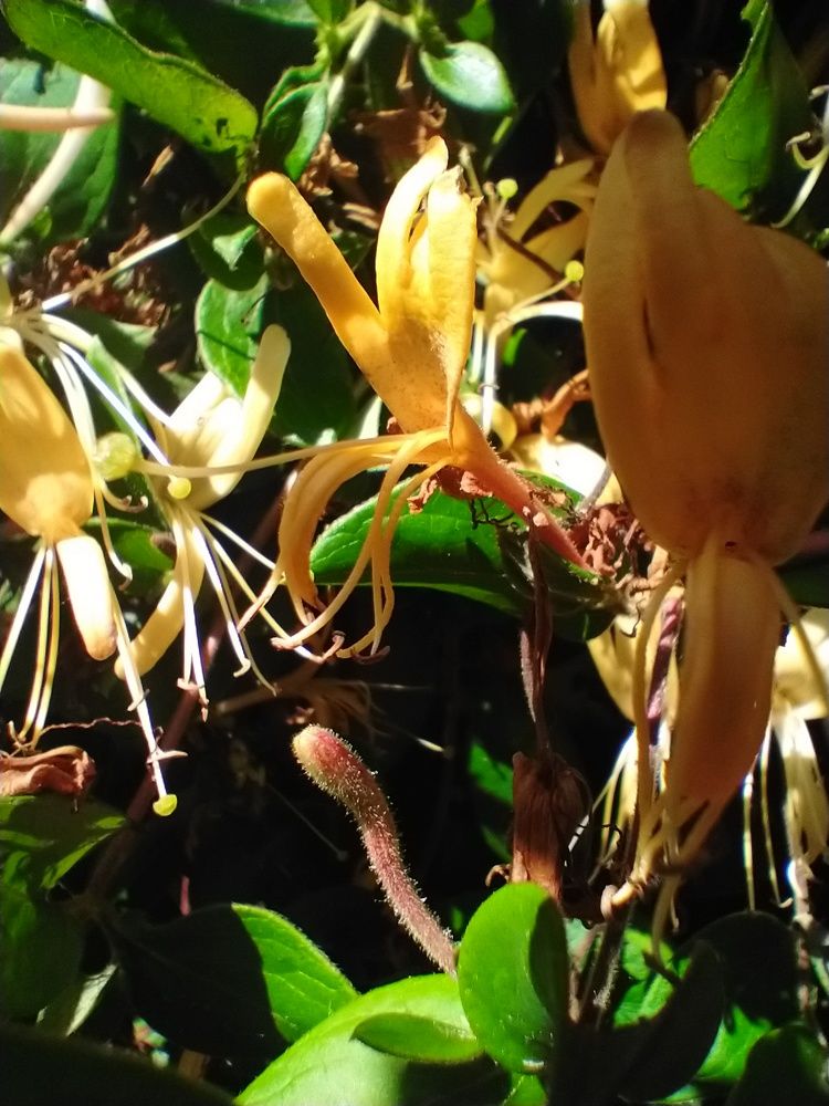 Photograph by Bojan Nikolovski