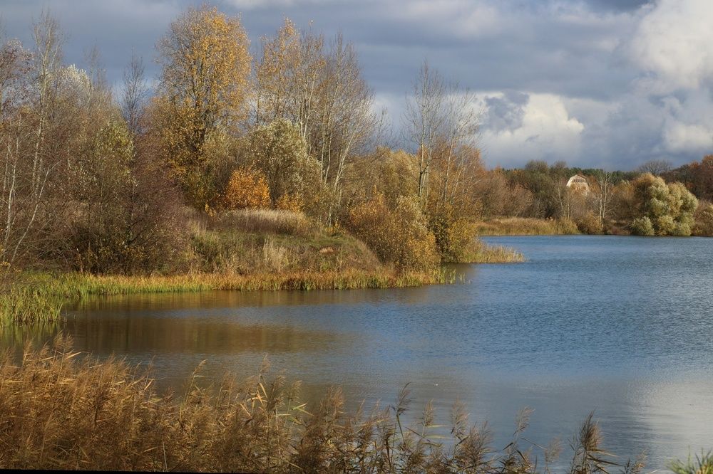 Photograph by Светлана Богомолова